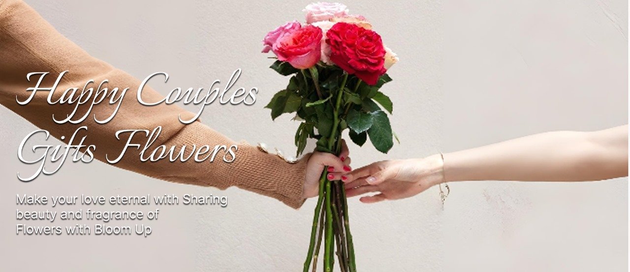 Image Slider