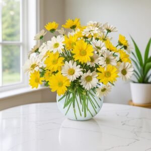 Sunny Daisy Delight